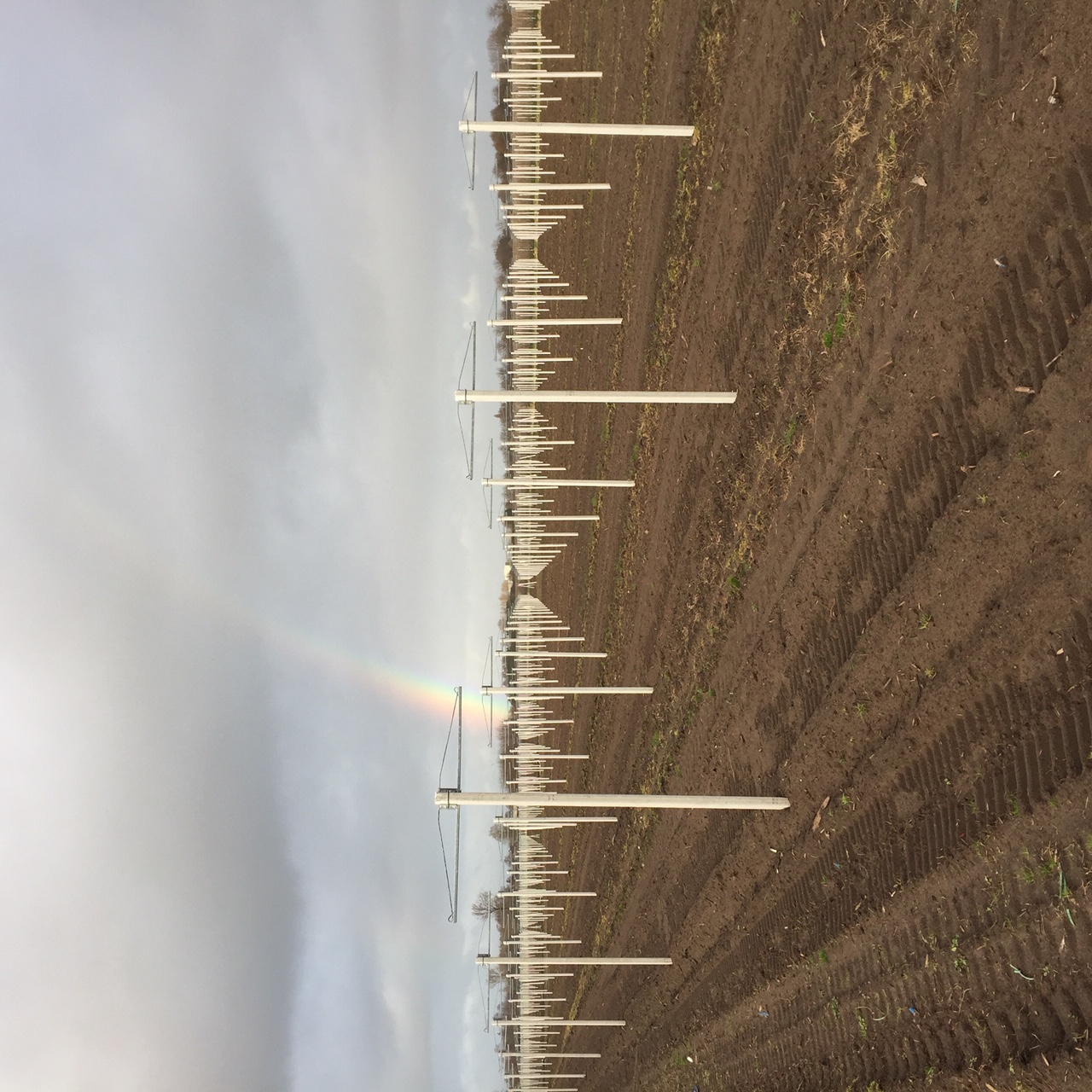 Basic Support System