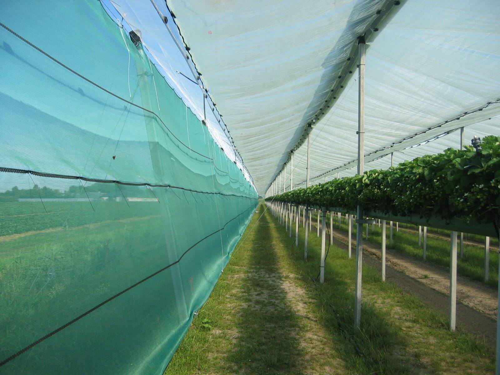 MIA en Vamil regeling