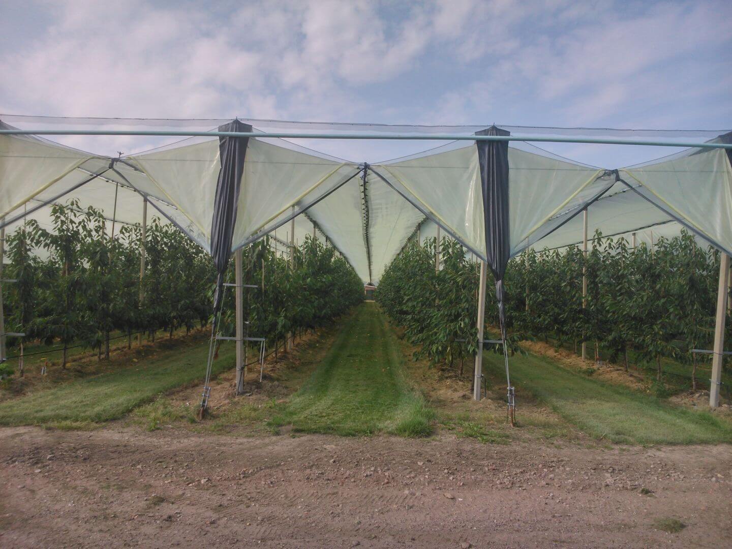 Double Protect Rain System