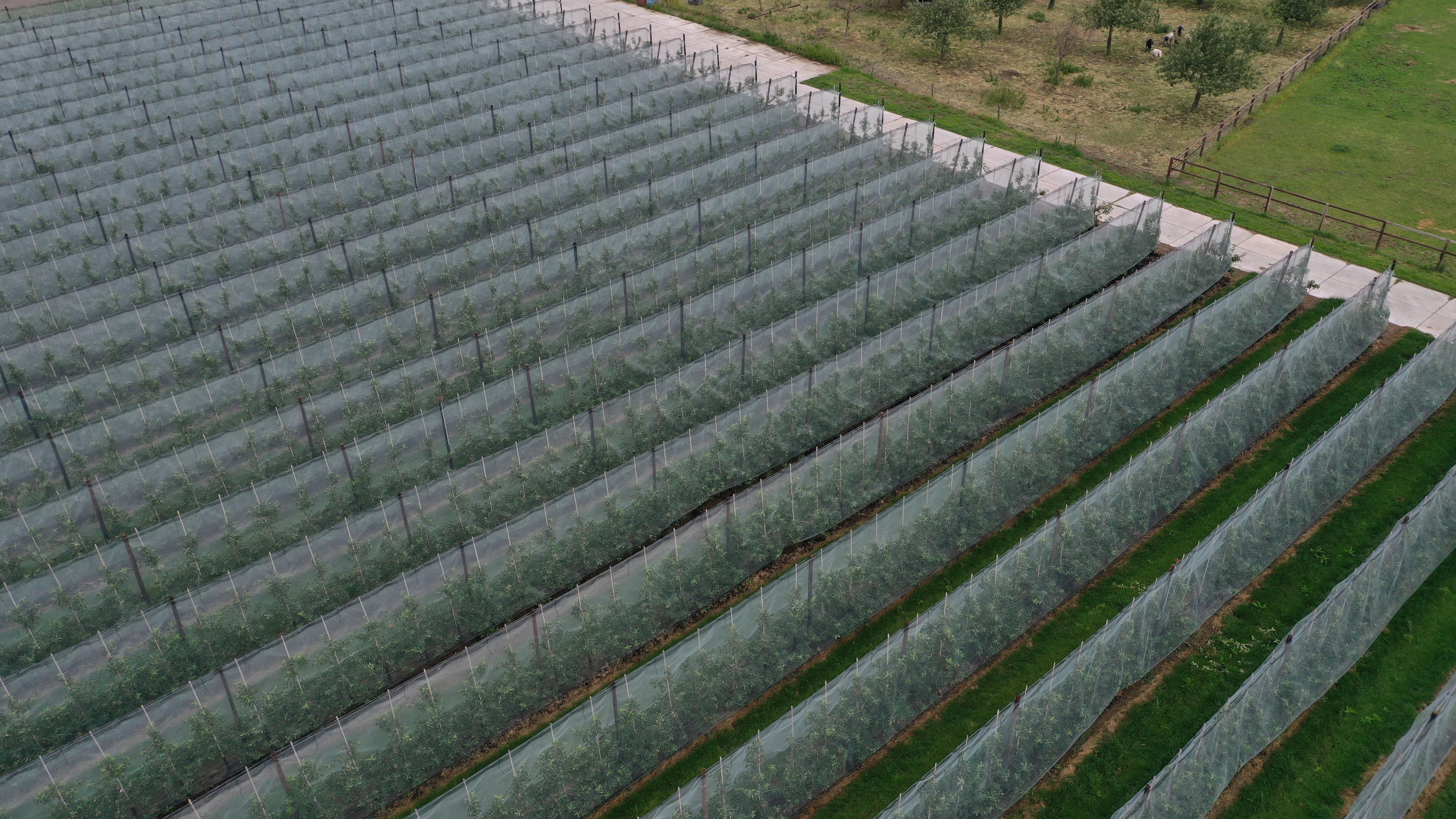 Luchtfoto van het Easy Protect System