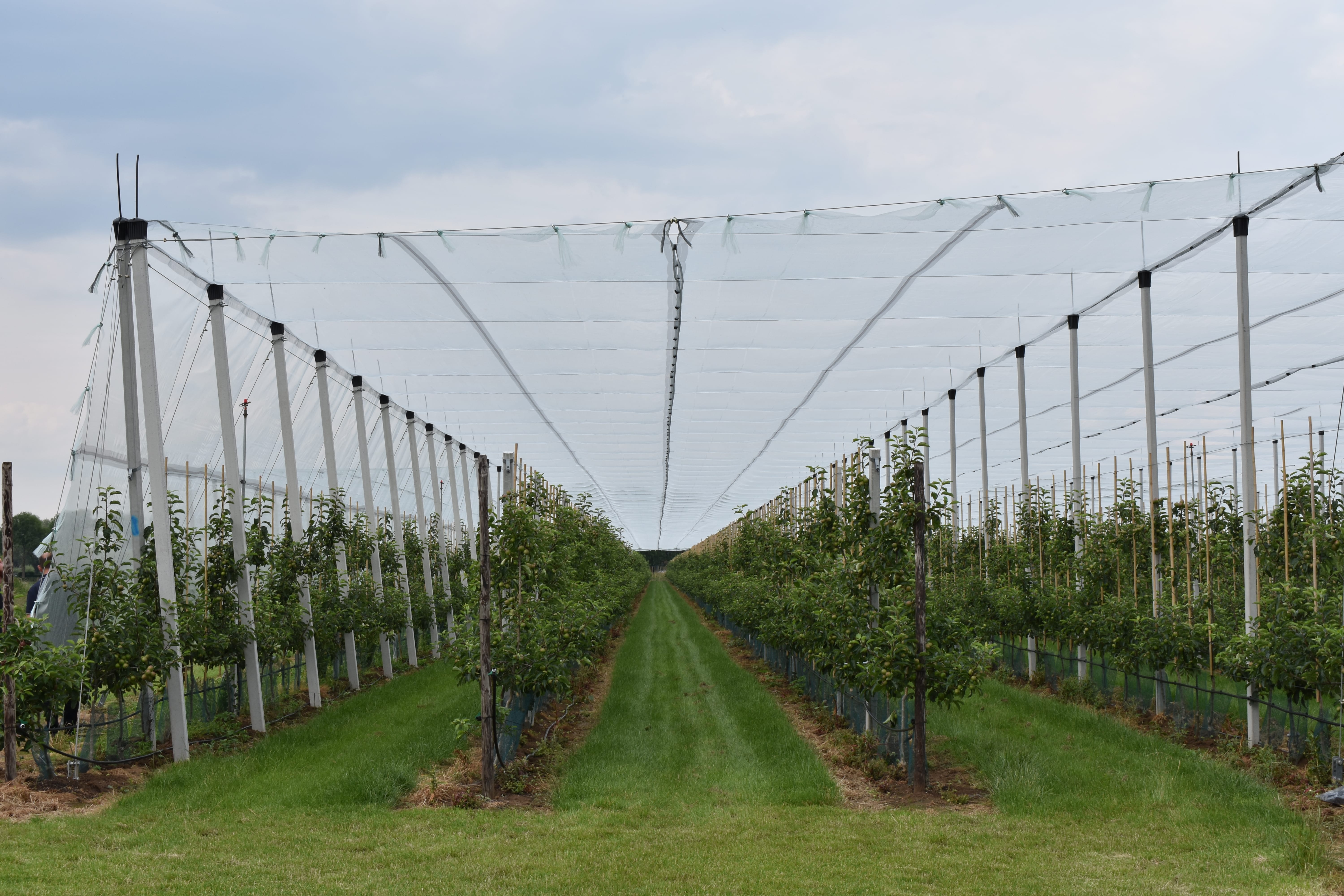 Geluidsproductie hagelnetten: Een geruis als een dennebos!